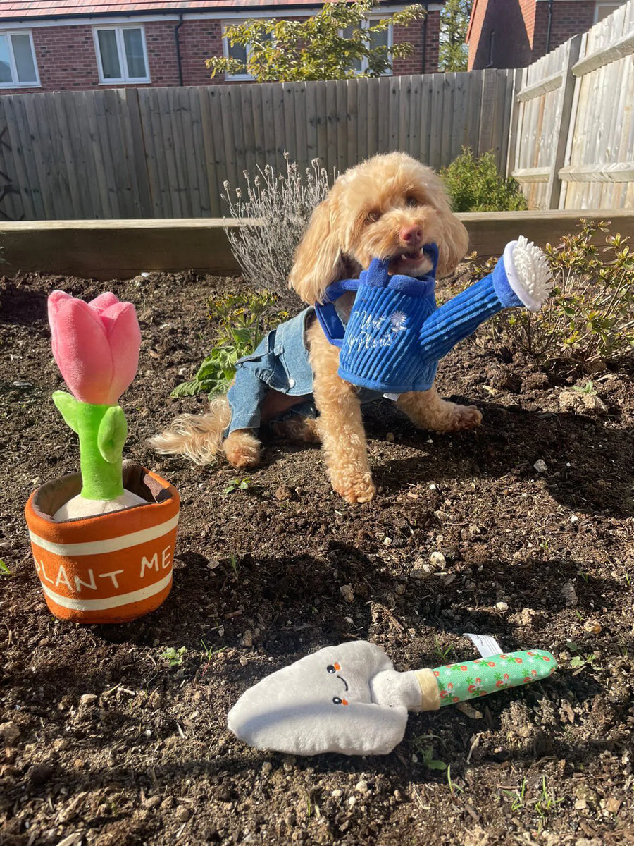 INJOYA, Spring Vegetable Garden Snuffle Dog Mat