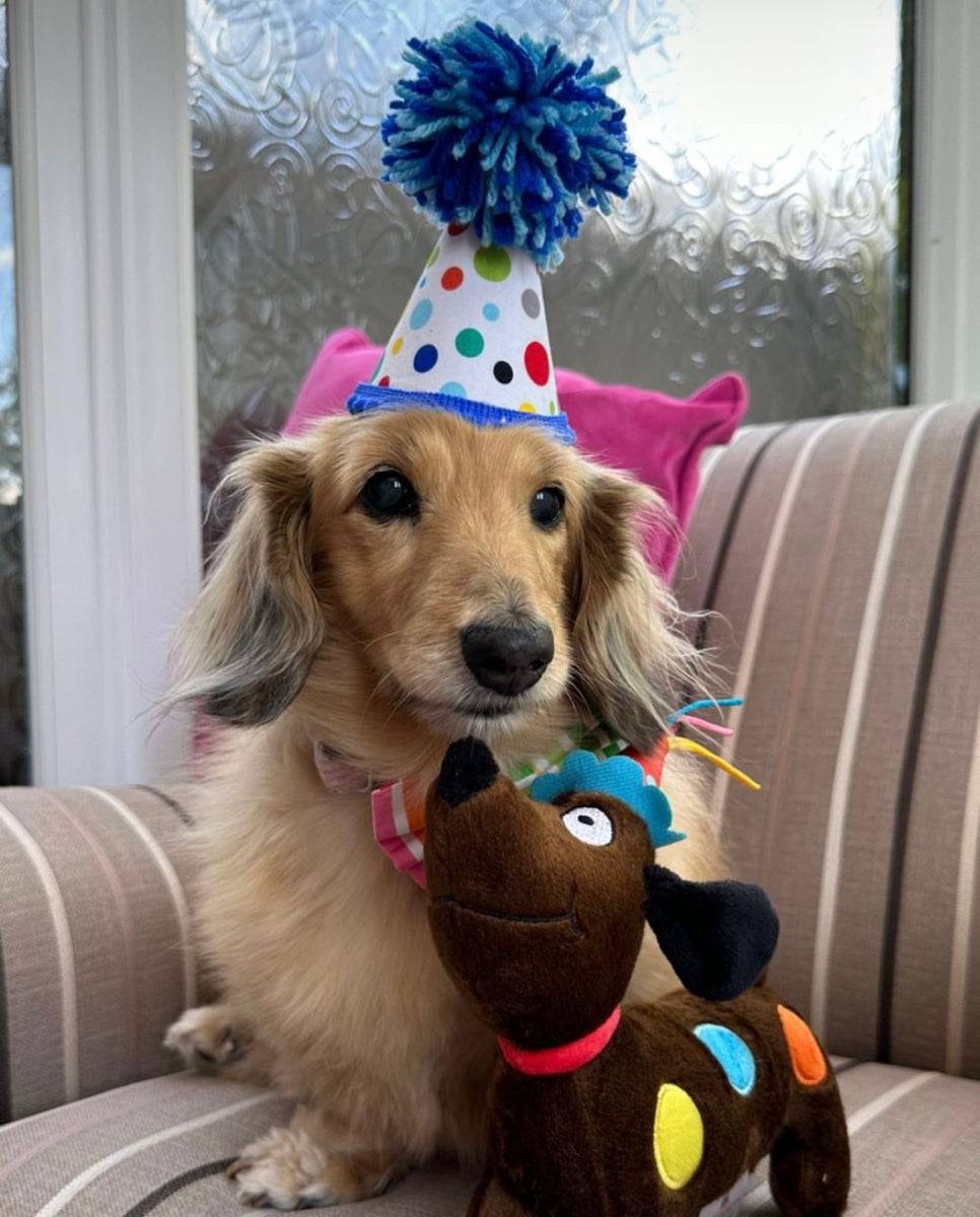 Happy birthday best sale dog party