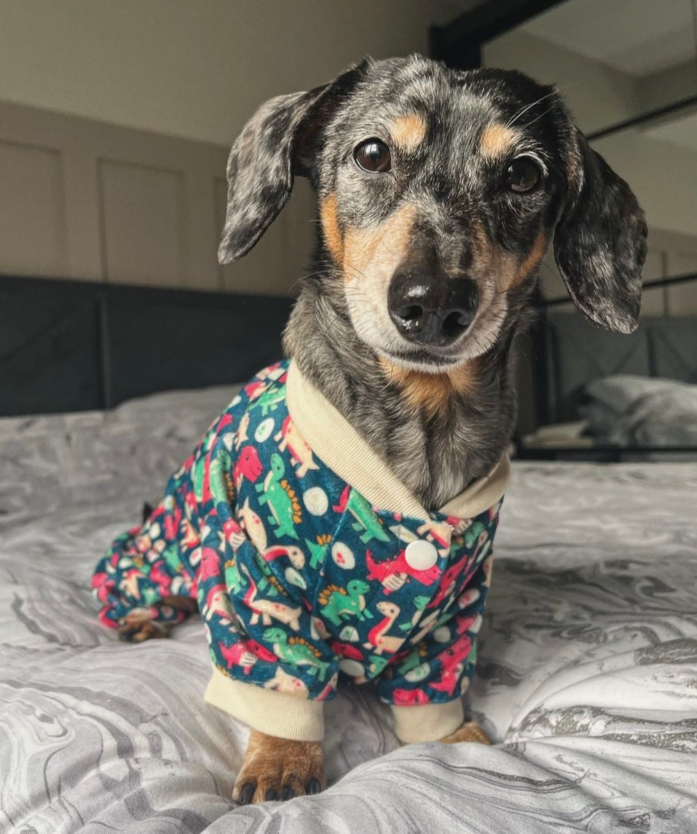 Dinosaur dog hot sale pajamas