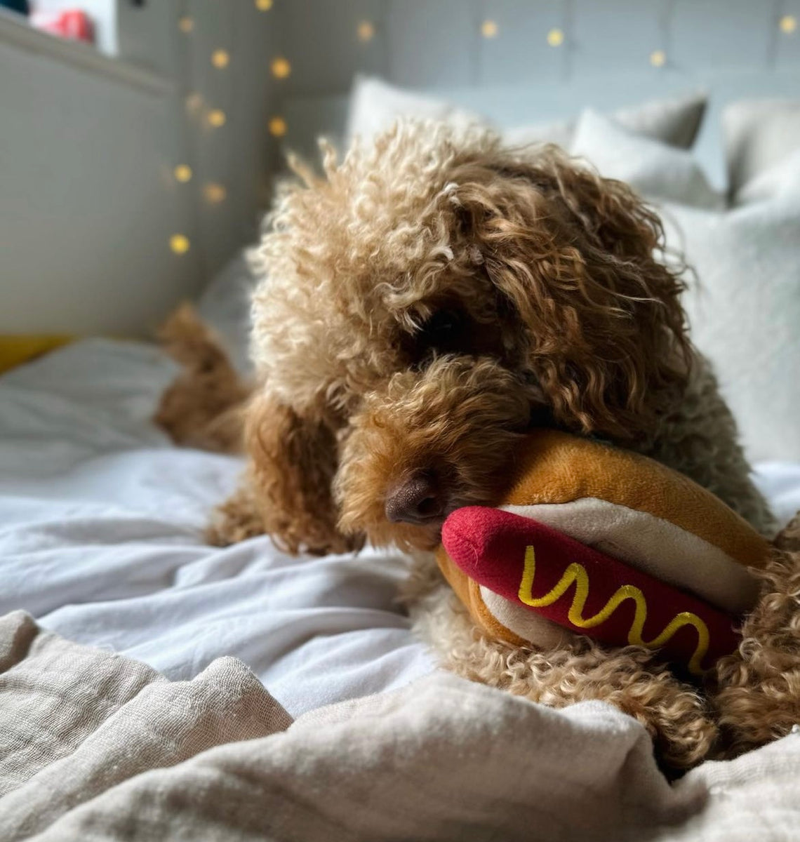 Hot Dog Plush Dog Toy By P.L.A.Y Love From Betty