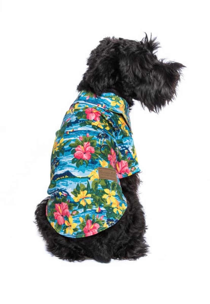 Dog in hawaiian sales shirt