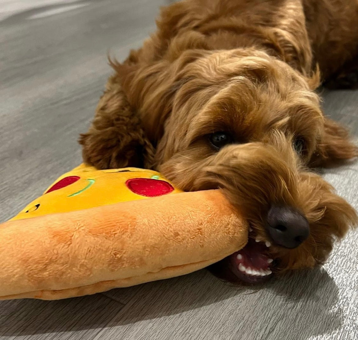 Pizza dog shop toy