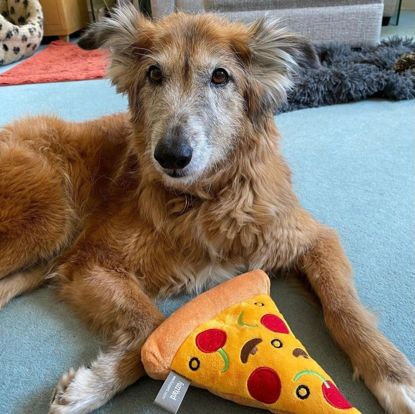 Pizza dog toy hotsell