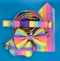 Rainbow Bright Stripe Bandana Handmade By Urban Tails