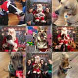 Santa Paws Festive Christmas Party Sunday 8th Dec @ Mi Coffee & Cake