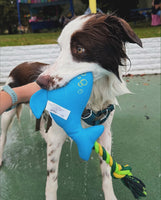 Whale Floating Dog Toy By Pawise