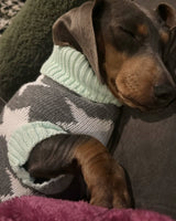 Star Struck Pooch Knitted Sweater By Love From Betty