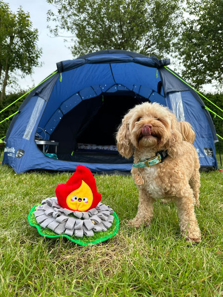 Camping Pups Snuffle Campsite Fire Dog Toy By Hugsmart