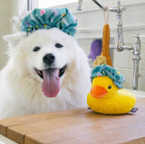 Shower Quack Splish Splash Dog Toy By P.L.A.Y