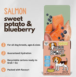 Salmon, Sweet Potato & Blueberry Dog Drink By Furr Boost