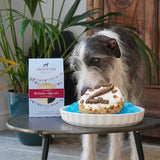 Dog Birthday Cake Mix By Innocent Hound