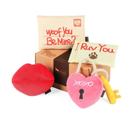 Love Bug Lock & Key Dog Toy By P.L.A.Y