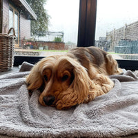 Grey Fluffy Fleece Blanket By Pet Wiz