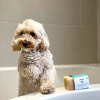 Handmade Dog Shampoo Bar Tea Tree & Neem Oil -  By Pet Wiz