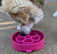 Pink Flower Design Enrichment Slow Feeder Bowl Soda Pup