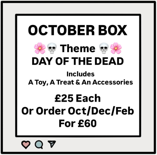 Themed Box - October - Day Of The Dead