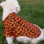 Halloween Pumpkin Dog Shirt By Doggie Design