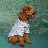 Halloween Monster Mummy Dog Shirt By Doggie Design