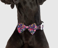 Petal Paradise Dog Collar By Big & Little Dogs