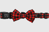 Plaid To The Bone Red Gingham Dog Collar By Big & Little Dogs