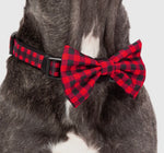 Plaid To The Bone Red Gingham Dog Collar By Big & Little Dogs