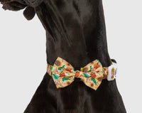 Winter Blooms Sunflower Dog Collar By Big & Little Dogs