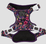 Petal Paradise Adventure All-Rounder Dog Harness By Big & Little Dogs