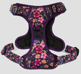 Petal Paradise Adventure All-Rounder Dog Harness By Big & Little Dogs