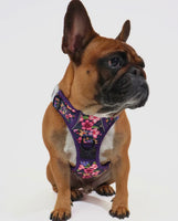 Petal Paradise Adventure All-Rounder Dog Harness By Big & Little Dogs