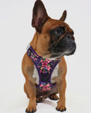 Petal Paradise Adventure All-Rounder Dog Harness By Big & Little Dogs