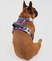 Petal Paradise Adventure All-Rounder Dog Harness By Big & Little Dogs