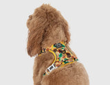 Winter Blooms Sunflower Adventure All-Rounder Dog Harness By Big & Little Dogs