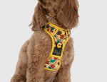 Winter Blooms Sunflower Adventure All-Rounder Dog Harness By Big & Little Dogs