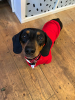 Ruby Red Cosy Dog Hoodie