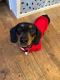 Ruby Red Cosy Dog Hoodie