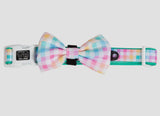 Rainbow Gingham Dog Collar By Big & Little Dogs