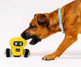 Alien Buddies Robo Rover Dog Toy By P.L.A.Y