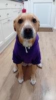 Royal Purple Cosy Dog Hoodie