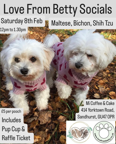 Love From Betty Socials Maltese, Bichon, Shih Tzu @ Mi Coffee & Cake Sandhurst