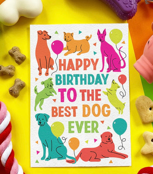 Happy Birthday Edible Dog Birthday Card By Scoff Paper