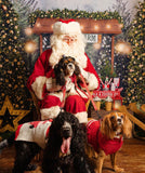 Santa Paws Festive Christmas Party Sunday 8th Dec @ Mi Coffee & Cake