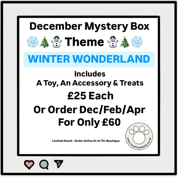 Themed Box - December - Winter Wonderland