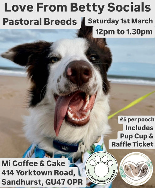 Love From Betty Socials Pastoral Breeds @ Mi Coffee & Cake Sandhurst