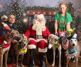 Santa Paws Festive Christmas Party Sunday 8th Dec @ Mi Coffee & Cake