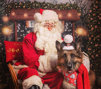 Santa Paws Festive Christmas Party Sunday 8th Dec @ Mi Coffee & Cake