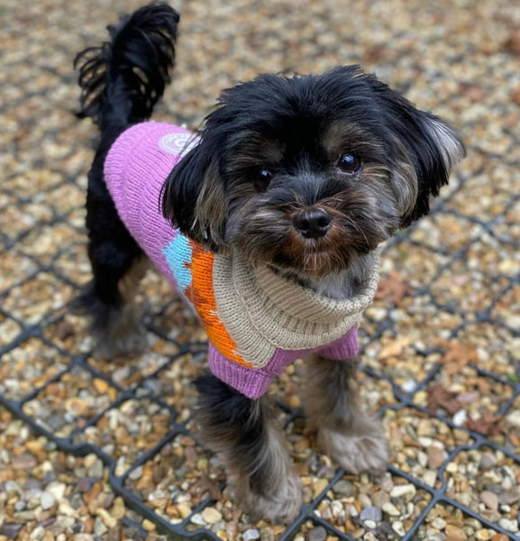 Fireside Purple Knitted Dog Sweater By GF Pet