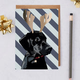 Christmas Dog Greeting Four Card Mixed Bundle By Lorna Syson