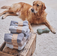 Fox Red Lab Dog Walkers Socks By Sweet William