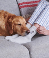 Grey Schnauzer Dog Walkers Socks By Sweet William