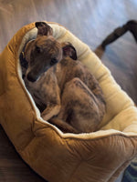 Tan Suede Oval Snuggle Dog Bed By House Of Paws